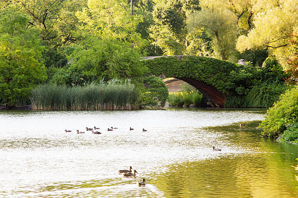 istock Gapstow Bridge, Central Park, New York 157653742