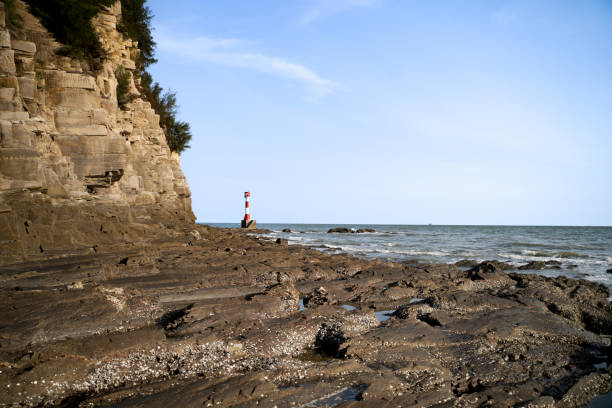 Young people traveling by the sea