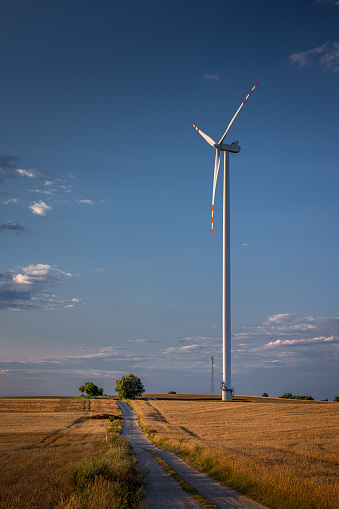 A wind turbine producing electricity standing in a field among cereals against a blue sky and clouds. A dirt road in the foreground.
