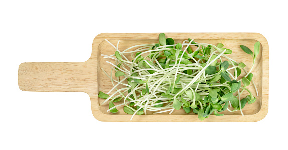 fresh Sunflower Sprout with wooden tray isolated on white background ,Green leaves pattern ,Salad ingredient ,include clipping path