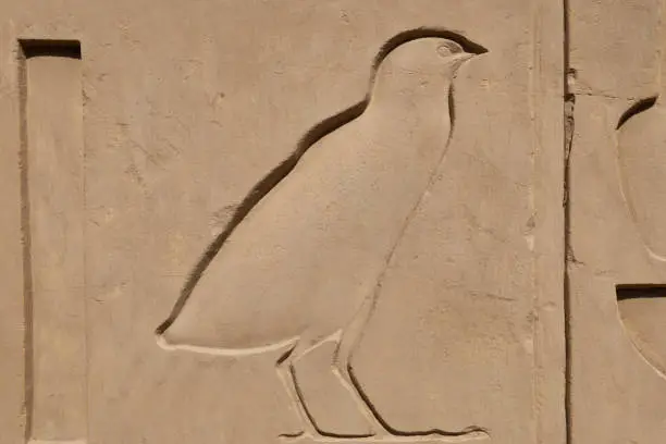 Photo of A Bas Relief at Karnak Temple complex . Luxor . Egypt .