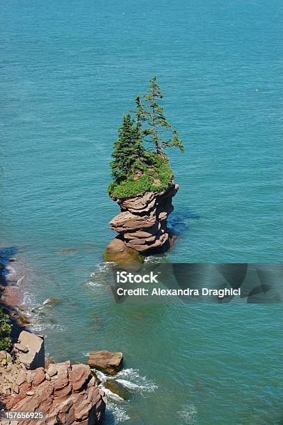 Baia Di Fundy Flowerpot Rock New Brunswick - Fotografie stock e altre immagini di Nuovo Brunswick - Canada - Nuovo Brunswick - Canada, Acqua, Albero