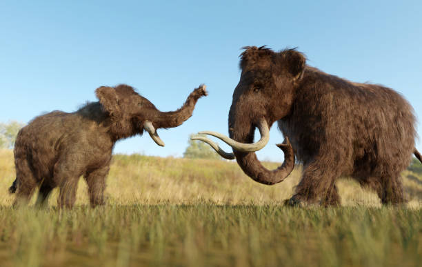 istock Woolly Mammoth and Baby in a Grassy Field 1576569714