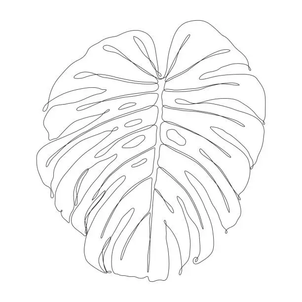 Vector illustration of Monstera Leaf Continuous Line Drawing Style Editable Stroke