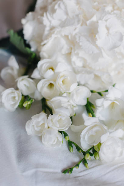 istock Beautiful white Freesia and Hydrangea flowers on a white background in a morning sunlight. 1576575229