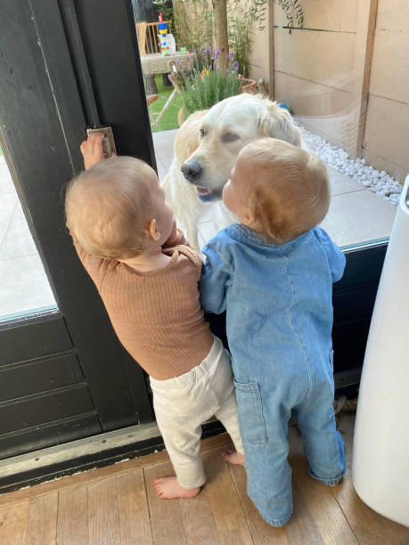 istock One year old Twin standing for the window 1576576471