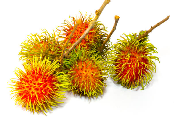 istock rambutan sweet delicious fruit isolated on white 1576576590