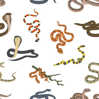 Various poisonous snakes, seamless pattern in flat style, vector illustration on white background. Dangerous reptile drawing. Venomous animal crawling.