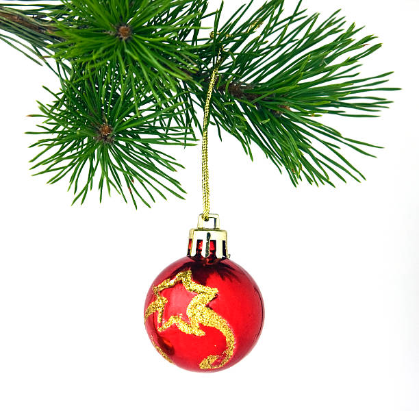 istock Christmas red ball on branch isolated 157660364