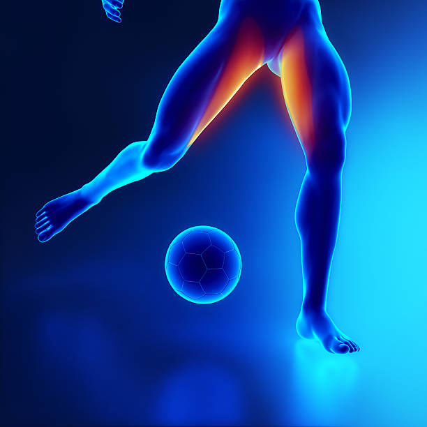 istock Strained thigh muscle concept in x-ray 157660589