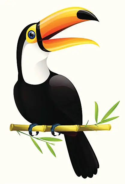 Vector illustration of A bird called a toucan sitting in a twig