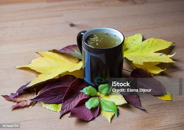 フェンネルのティーカップにデイビッドます秋の装飾 - お茶の時間のストックフォトや画像を多数ご用意 - お茶の時間, アルファベット, アルファベットのA