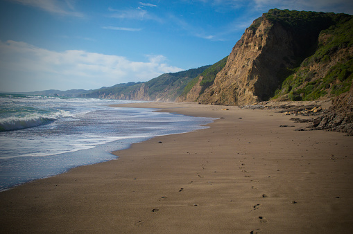 A day on the coast of Point Reyes Beach
