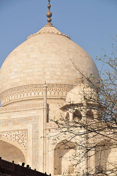 istock Taj Mahal,Agra,Uttar Pradesh & Uttaranchal,India. 157666176