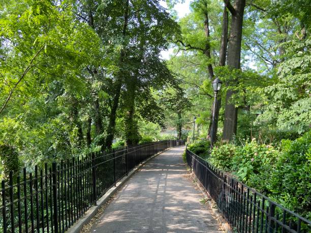 istock View of a paved path surrounded by leafy trees offering shade on a sunny day in Riverside Park, New York City 1576668688