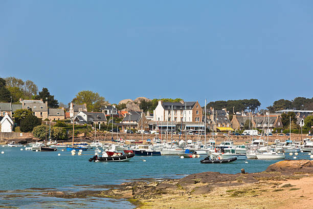 istock Ebb Landscape in Western Brittany 157668069