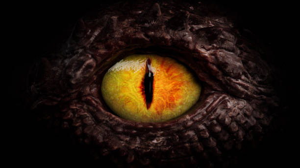 Dragon eye close up stock photo