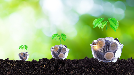 Coins in glass jar with plant on top putting on soil with sunlight bokeh green background. Financial investment ideas for future growth profits, trees growing on coins