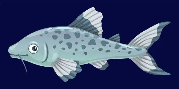 Vector illustration of Aquarium catfish, isolated freshwater creature