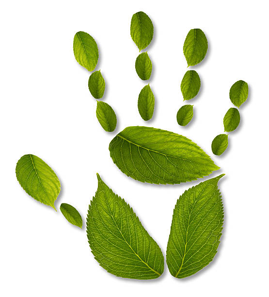 handprint - ecological impact concept stock photo