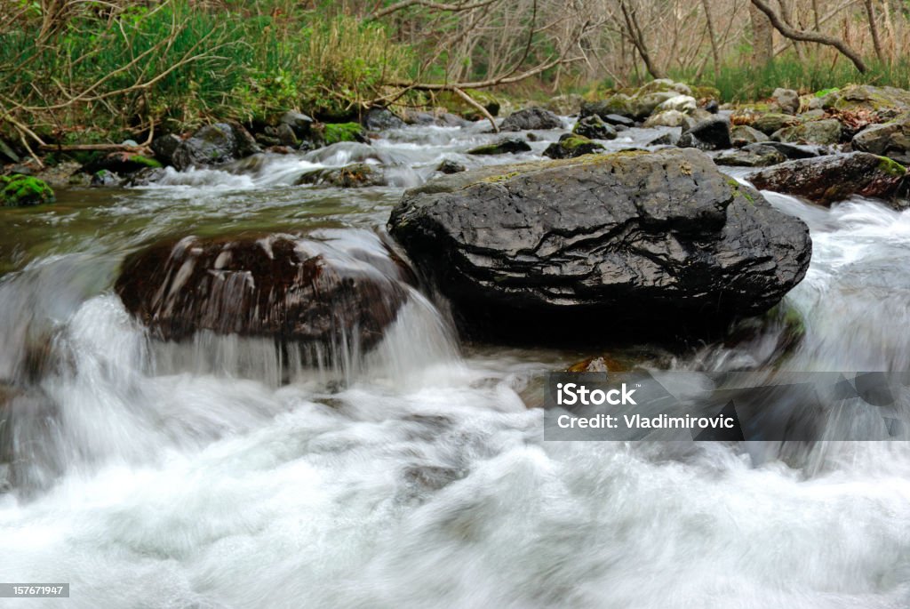 Pietre di fiume - Foto stock royalty-free di Acqua