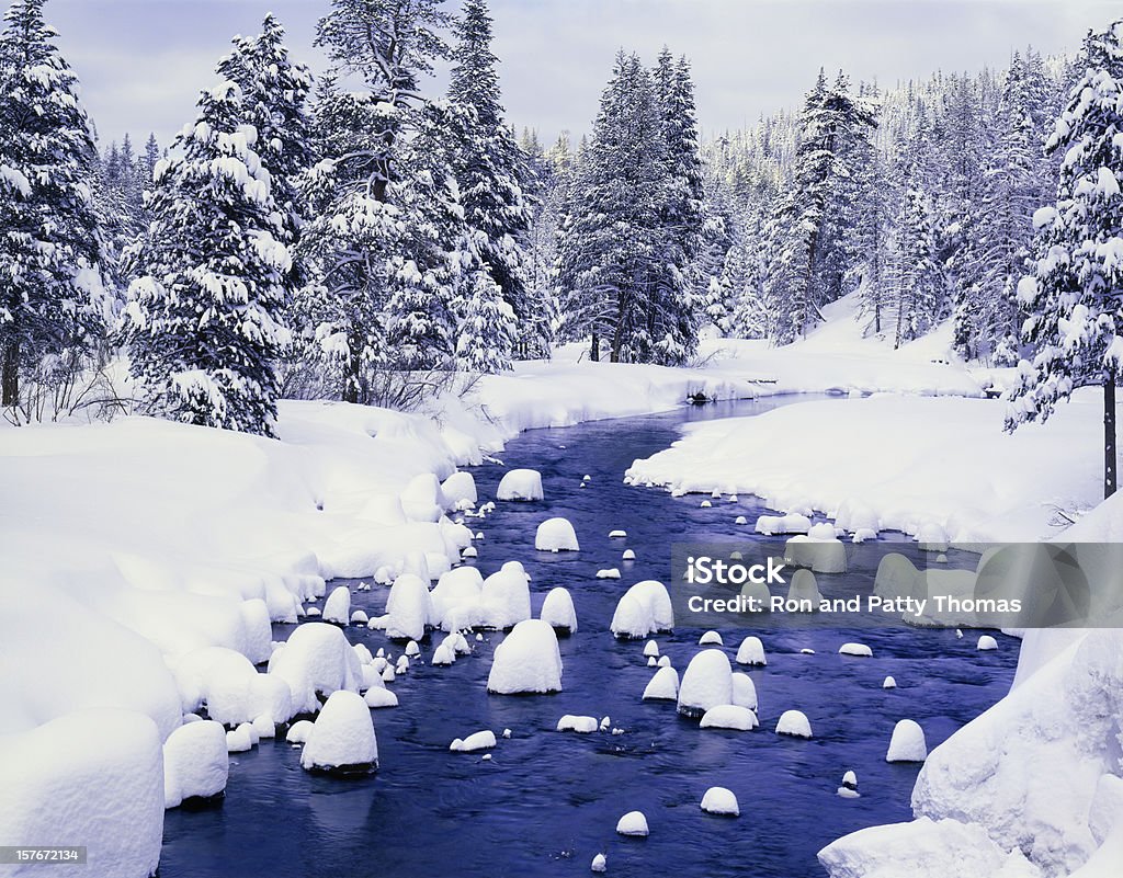 Fresca cubiertas de nieve de invierno bosque con vista al río - Foto de stock de Lago Tahoe libre de derechos