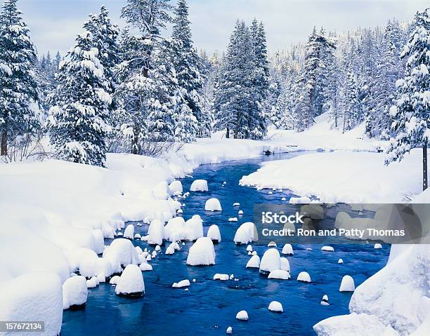 Fresca Cubiertas De Nieve De Invierno Bosque Con Vista Al Río Foto de stock y más banco de imágenes de Lago Tahoe