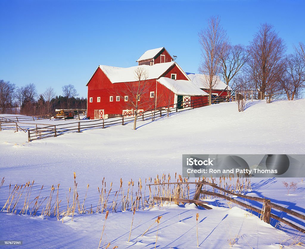 Inverno em Vermont - Foto de stock de Inverno royalty-free