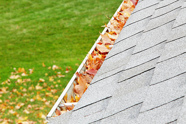 주거 홈화면 지붕 도랑 충원됨, 가을 낙엽 - eaves 뉴스 사진 이미지