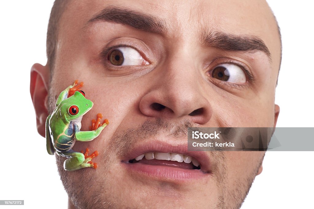 man with frog (agalychnis callidryas) in his face  Fear Stock Photo
