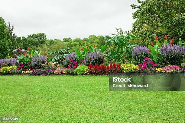 芝生と庭園 - 庭のストックフォトや画像を多数ご用意 - 庭, 花, 観賞用庭園