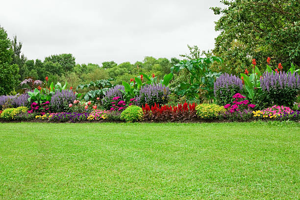 Lawn and Formal Garden Green lawn and landscaped formal garden. flowerbed stock pictures, royalty-free photos & images