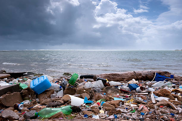 trash on the beach stock photo