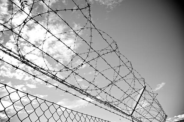 Free Stock Photo of Barbed Wire Fence in Black and White | Download ...