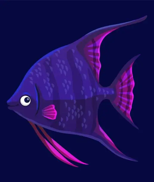 Vector illustration of Aquarium angel fish, isolated vector creature