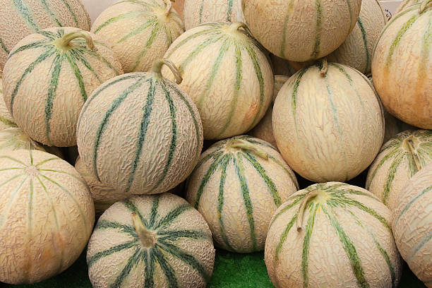 melón cantalopes toscana en el mercado de agricultores - melon balls fotografías e imágenes de stock