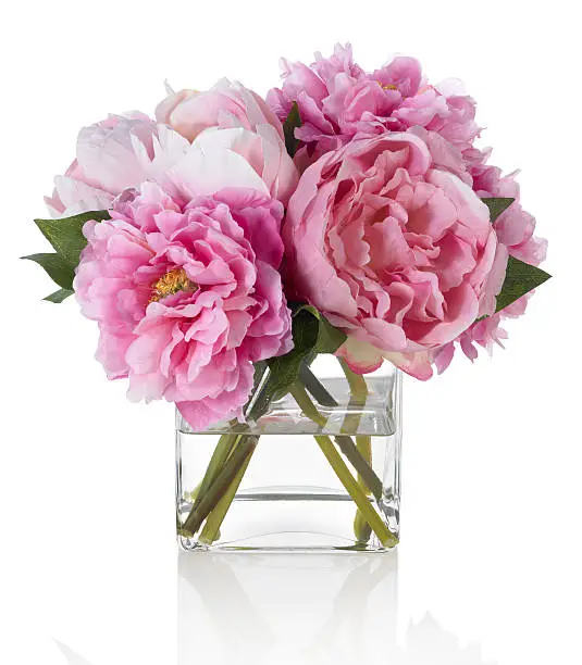 A pink peony bouquet in a square glass vase. Shot against a bright white background. There is a path which may be used to delete the reflection if desired. Extremely high quality faux flowers.
