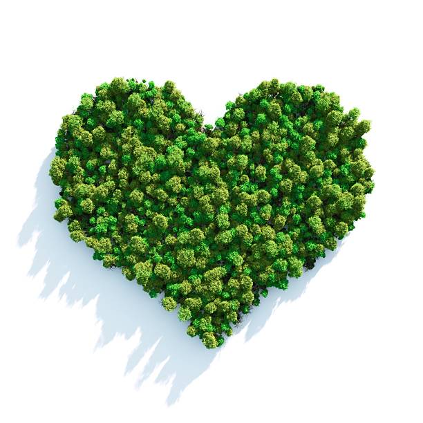 Forest Love Ecology concept: "Heart" shaped forest viewed from above. Computer generated, and lit with global radiosity. Subtle grain texture added. deforestation photos stock pictures, royalty-free photos & images