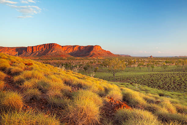 Australian landscape in Purnululu National Park, Western Australia at sunset Beautiful Australian landscape in the light of a setting sun. Photographed from the Kungkalahayi lookout in Purnululu National Park. kimberley plain stock pictures, royalty-free photos & images