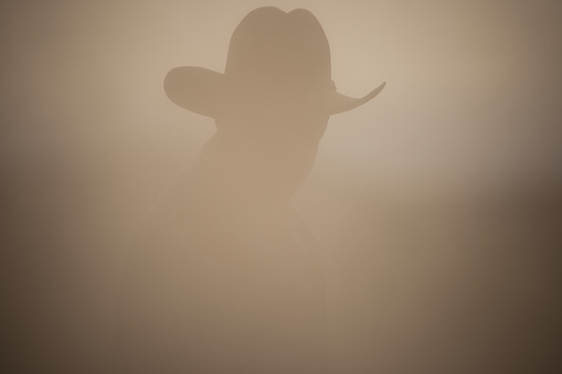 Cowboy backlit in dust,full color photo