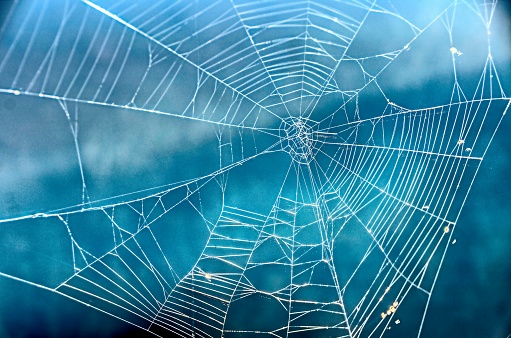 Spiderweb against a blue sky