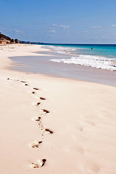 istock Wonderful Pink Sands of Bermuda 157673324