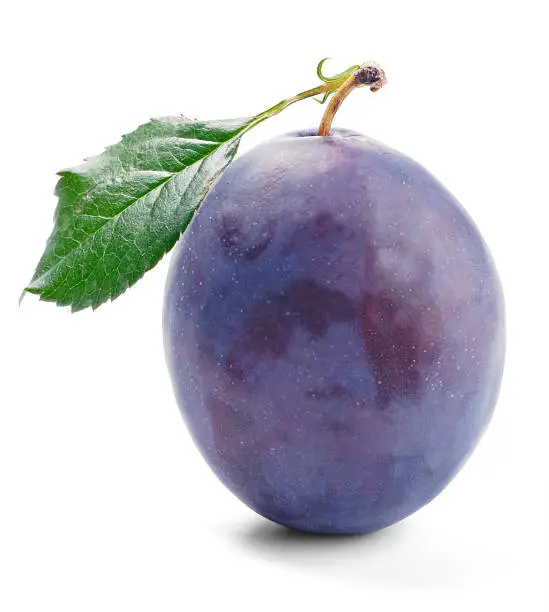 Photo of Plum