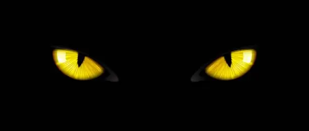 Vector illustration of Black cat eyes, yellow glowing panther pupils