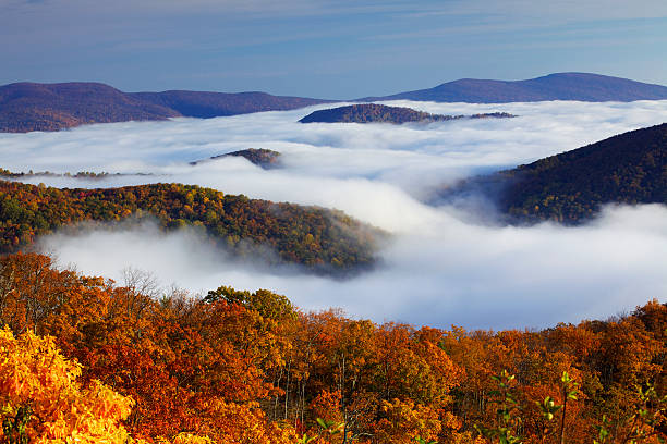 Shenandoah National Park Autumn colors in Shenandoah National Park, above the clouds. appalachian mountains stock pictures, royalty-free photos & images