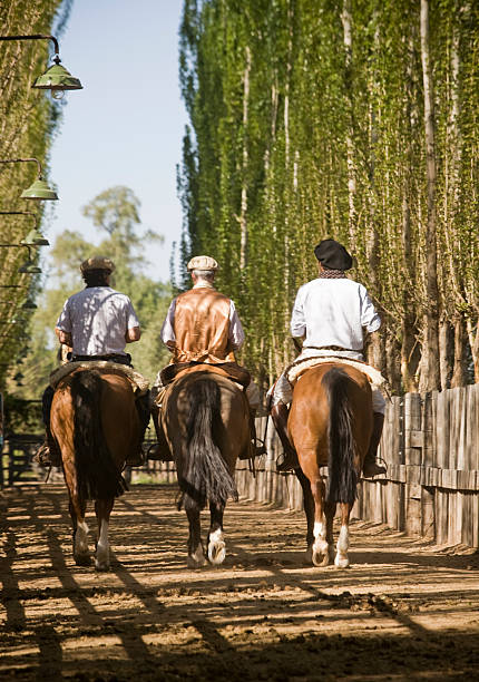 Gauchos Three Gauchos riding Horses in Argentina gaucho stock pictures, royalty-free photos & images