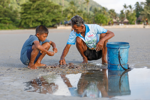 Ko Lanta, Krabi, Thailand   A Thai boy and man sit together on a sandy beach collecting sea cucumbers. Urak Lawoi