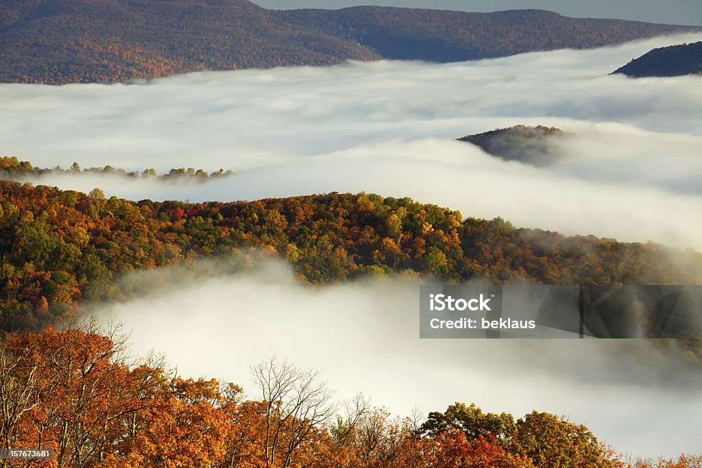 Shenandoah National Park Autumn colors in Shenandoah National Park, above the clouds. Above Stock Photo