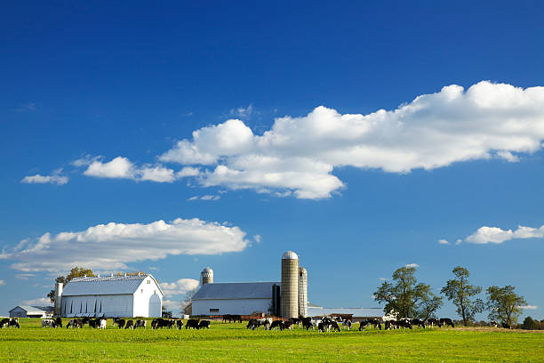 Lancaster County Farm stock photo