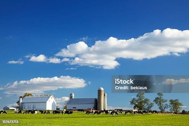 Lancaster County Farm Stock Photo - Download Image Now - Farm, Pennsylvania, Domestic Cattle